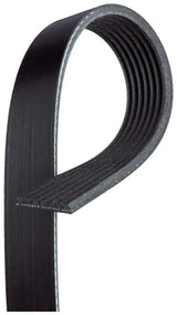 7PVK2150 Dayco Poly Rib Dayco Import