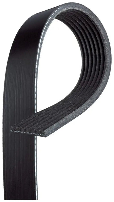 7PVK2150 Dayco Poly Rib Dayco Import