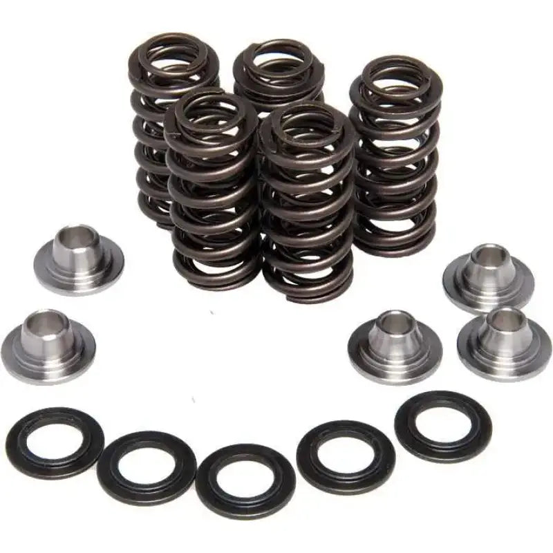 KPMI 80-80066 Racing Valve Spring Kit