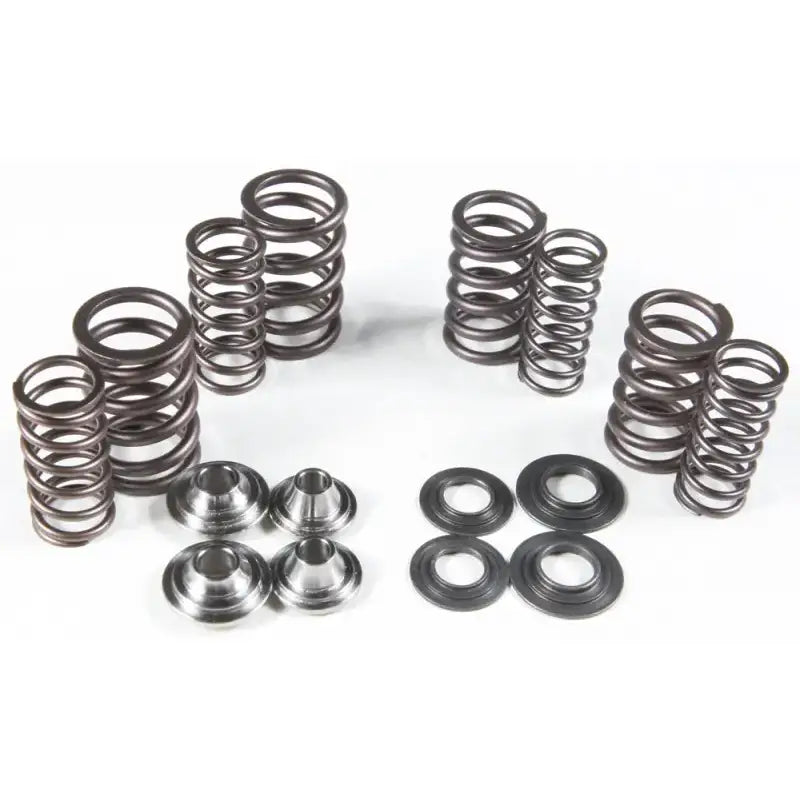 80-80900 Racing Valve Spring Kit