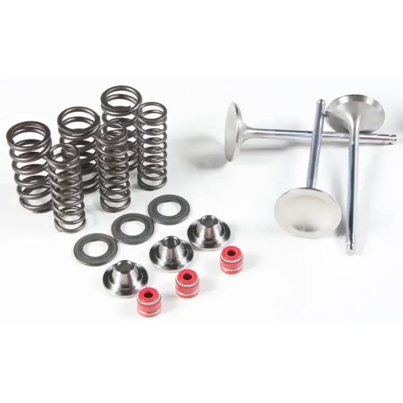 80-80950 Intake Valve/Spring Kit StainleSS Steel - Valve Spring
