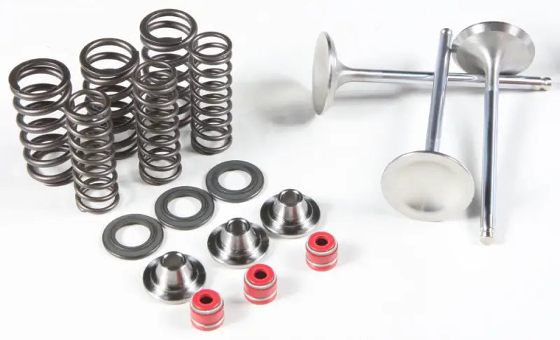 80-80950 Intake Valve/Spring Kit StainleSS Steel - Valve Spring