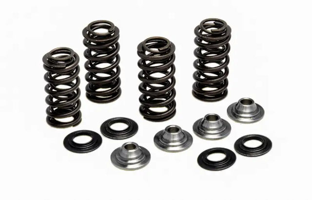80-81400 Racing Valve Spring Kit