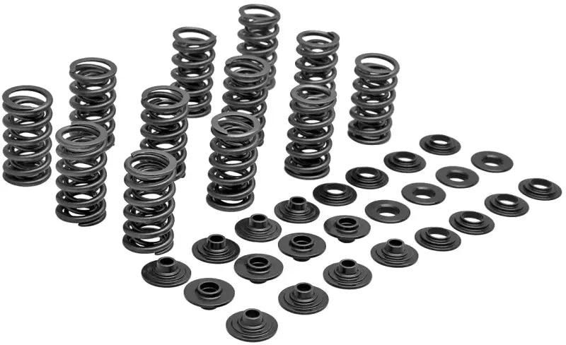 80-81700 Racing Valve Spring Kit