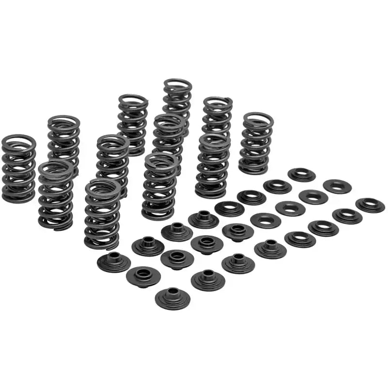 80-81700 Racing Valve Spring Kit