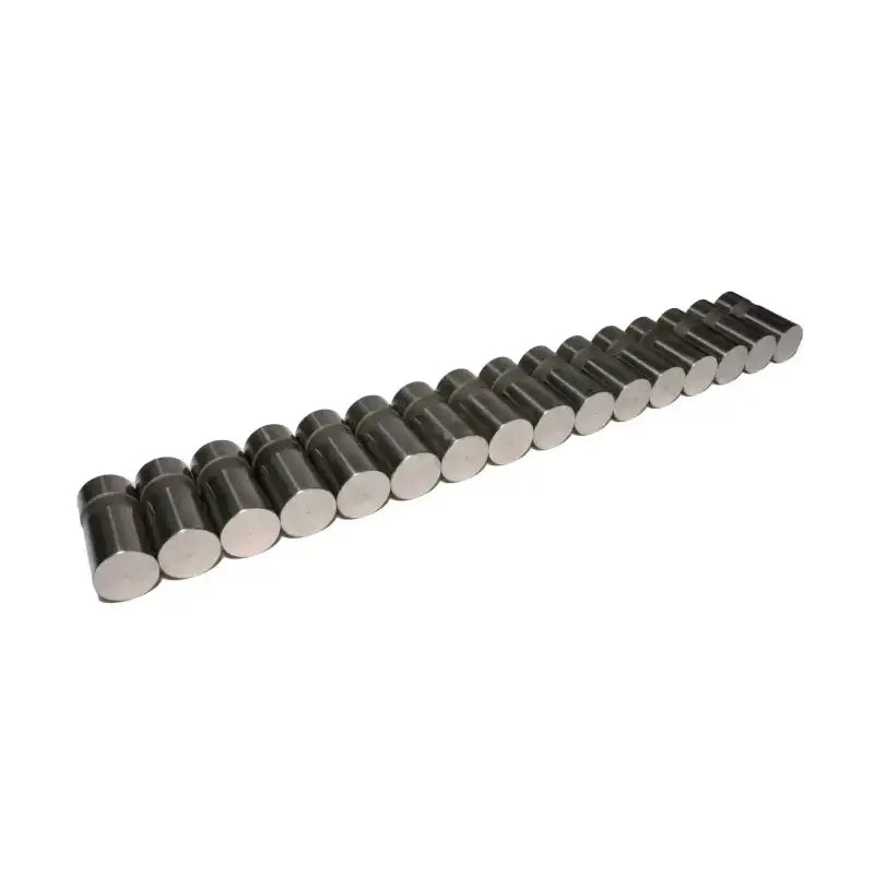 813-16 Valve Lifter