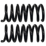 81609 Coil Spring
