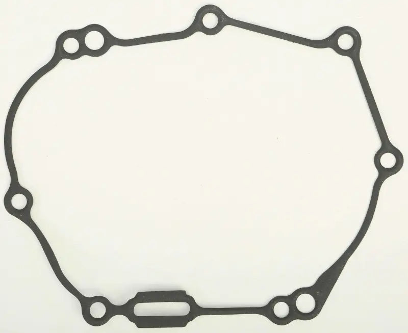 816287 Ignition Cover Gasket