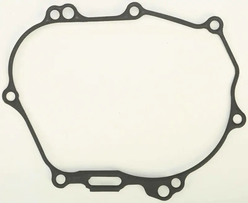 816288 Ignition Cover Gasket