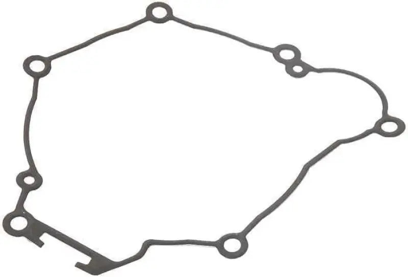 816318 Ignition Cover Gasket