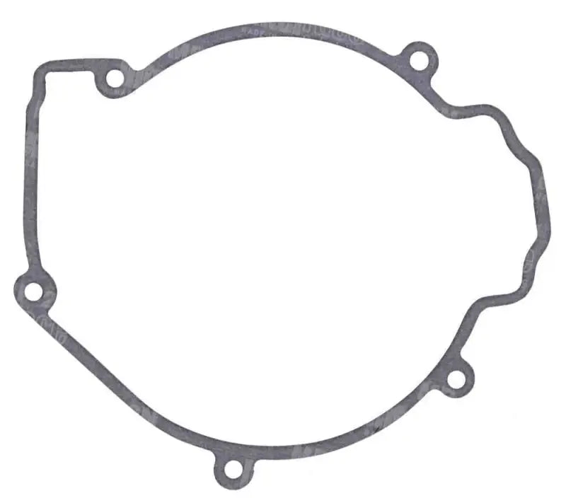 816566 Ignition Cover Gasket