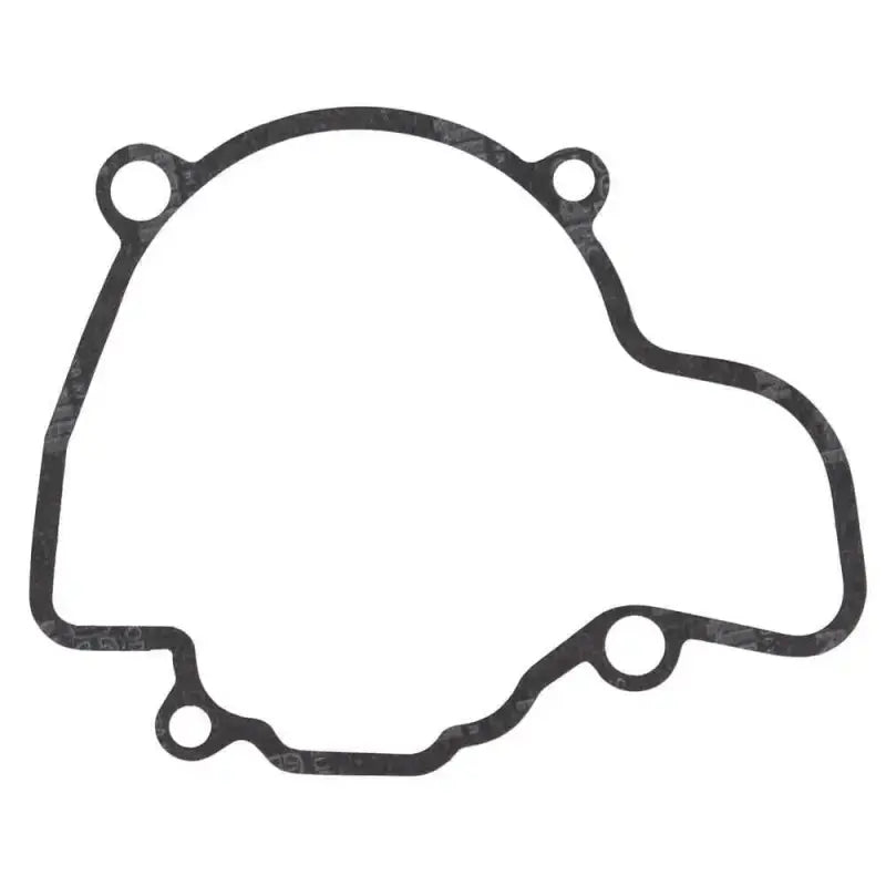 816673 Ignition Cover Gasket