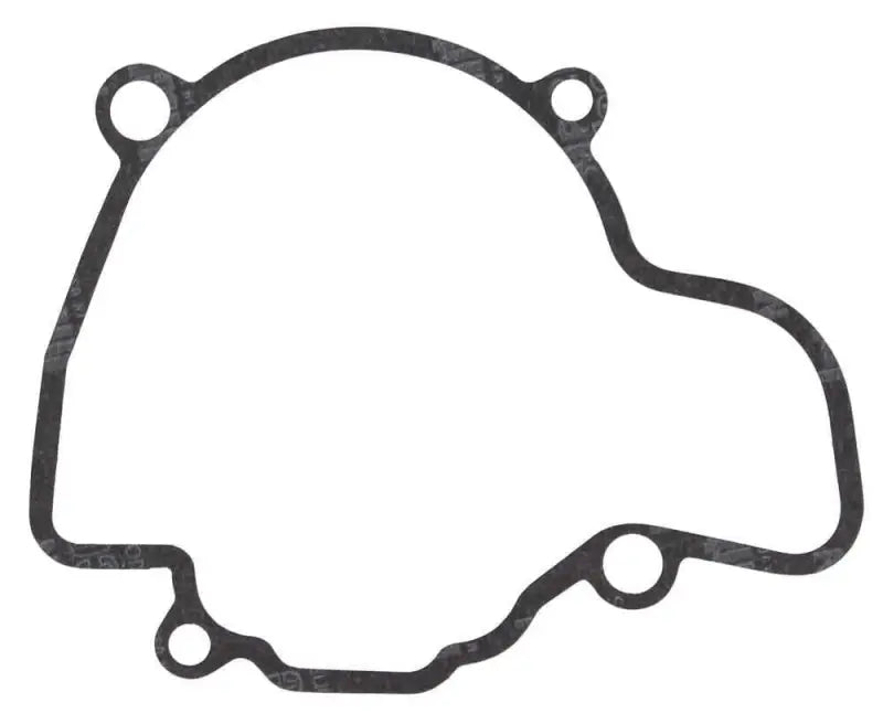 816673 Ignition Cover Gasket