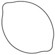 817507 Clutch Cover Gasket