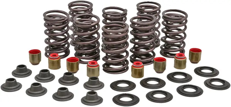 82-82950 Racing Valve Spring Kit