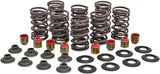 82-82950 Racing Valve Spring Kit