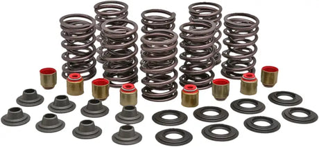 82-82950 Racing Valve Spring Kit