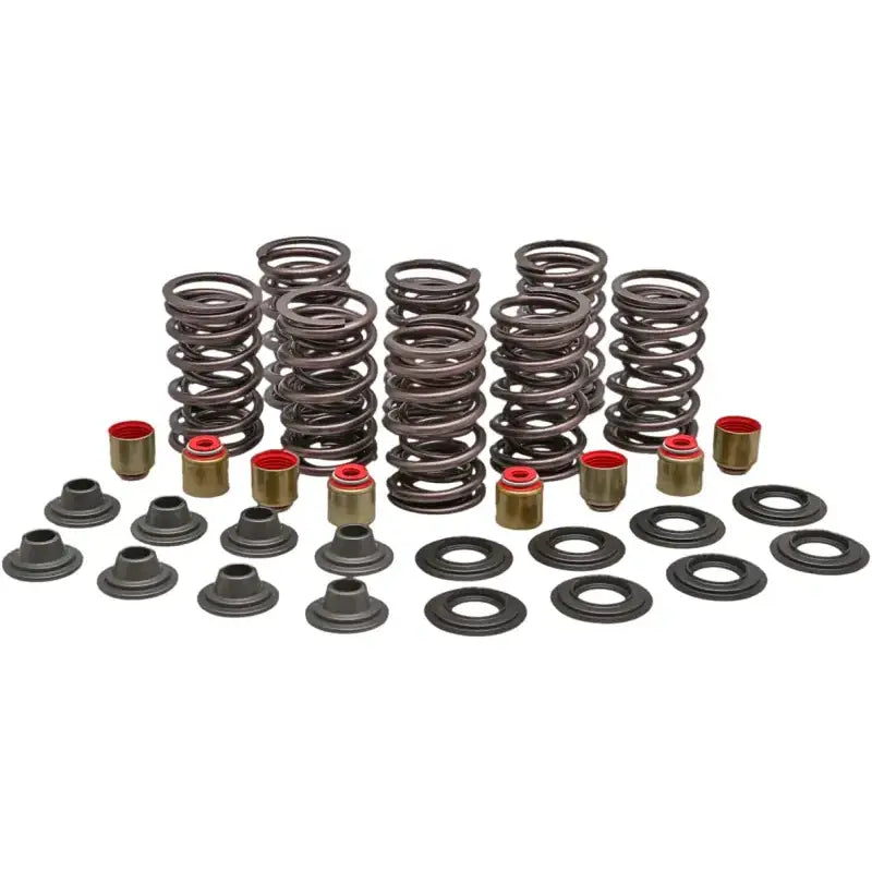 82-82950 Racing Valve Spring Kit