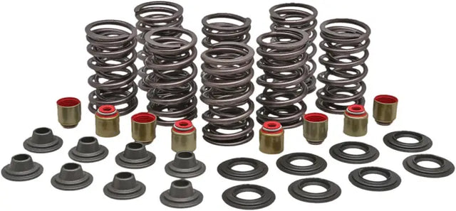 Automotive racing valve spring kit with valve spring and seal for high-performance racing valve