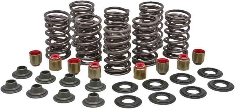 Automotive racing valve spring kit with valve spring and seal for high-performance racing valve