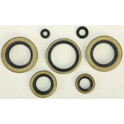 822102 Oil Seal Set - Kit