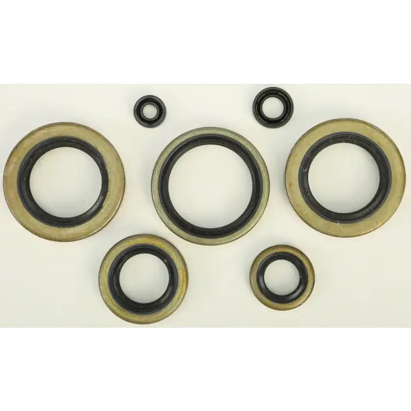 822102 Oil Seal Set - Kit