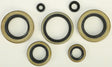 822102 Oil Seal Set - Kit