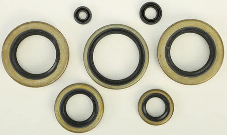 822102 Oil Seal Set - Kit