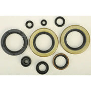 822104 Oil Seal Set - Kit