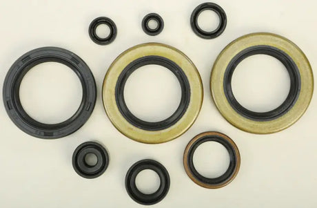 822104 Oil Seal Set - Kit