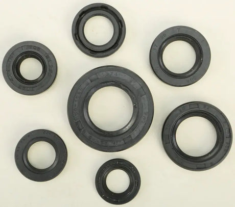 822105 Oil Seal Set - Kit