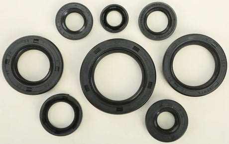 822106 Oil Seal Set - Kit