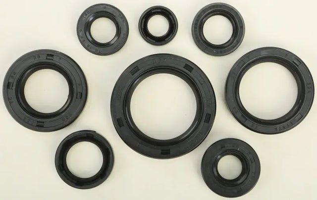 822106 Oil Seal Set - Kit