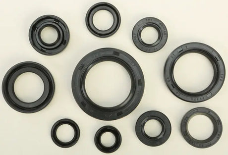 822107 Oil Seal Set - Kit