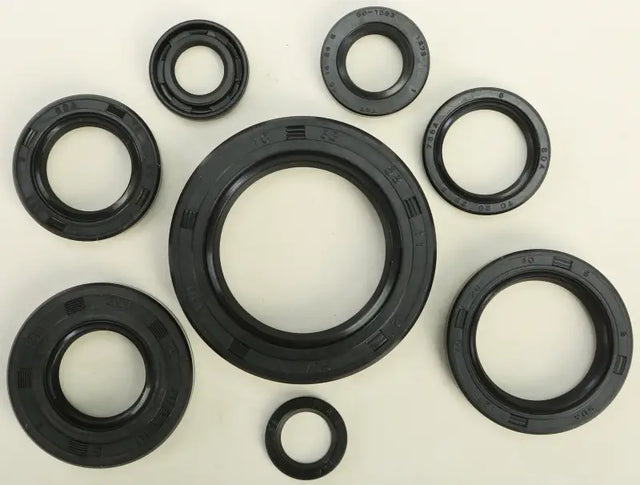822108 Oil Seal Set - Kit