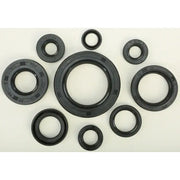 822109 Oil Seal Set - Kit