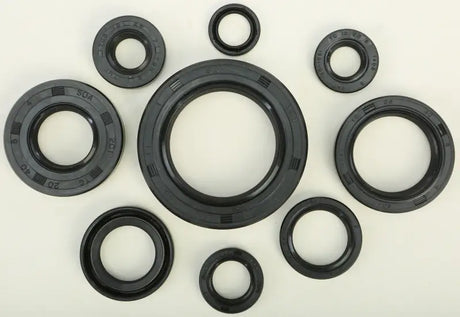 822109 Oil Seal Set - Kit