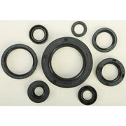 822110 Oil Seal Set - Kit