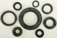 822110 Oil Seal Set - Kit