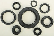 822110 Oil Seal Set - Kit