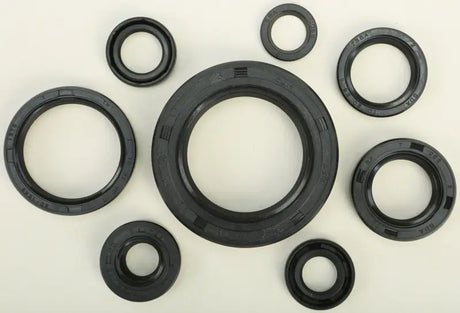 822110 Oil Seal Set - Kit