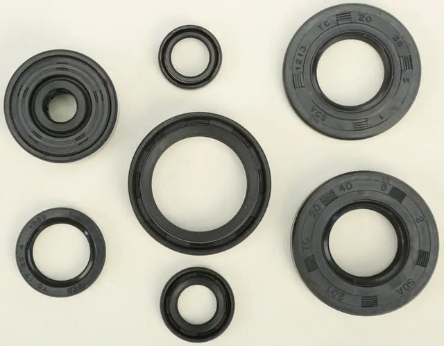822113 Oil Seal Set - Kit