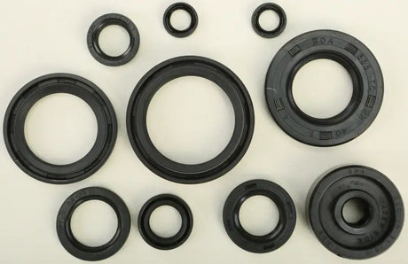 822115 Oil Seal Set - Kit