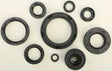 822117 Oil Seal Set - Kit