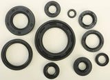 822118 Oil Seal Set - Kit