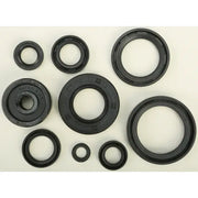 822119 Oil Seal Set - Kit