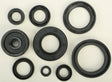 822119 Oil Seal Set - Kit