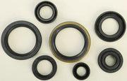 Assortment of black rubber oil seals in 822124 Oil Seal Set, part of oil seal kit