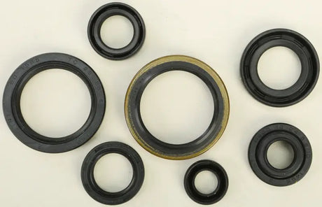 Assortment of black rubber oil seals in 822124 Oil Seal Set, part of oil seal kit