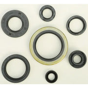 822126 Oil Seal Set - Kit